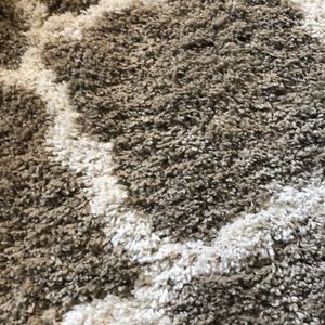 Meet your Posher, Lyla